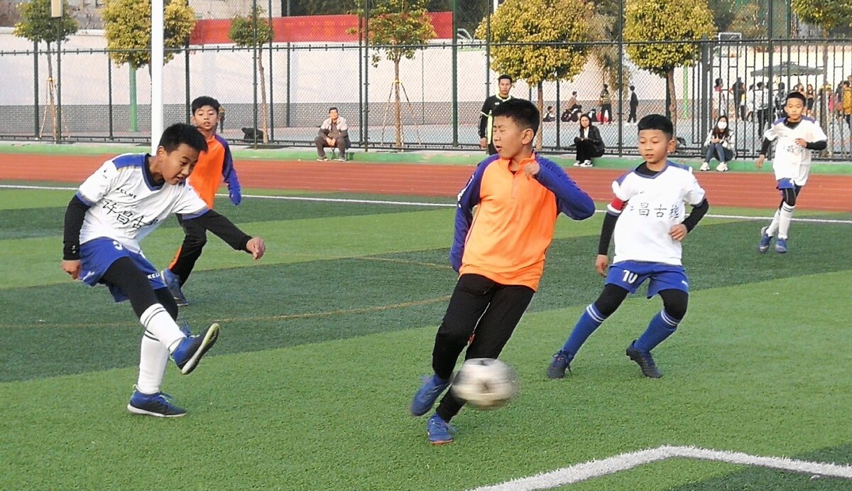 篇文章帮你 篇文章帮你